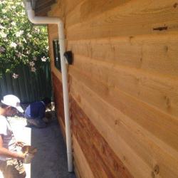 image painting-291-of-1651-jpg