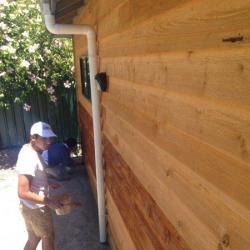 image painting-292-of-1651-jpg