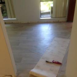 image painting-1256-of-1651-jpg