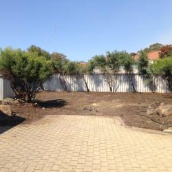 image painting-1325-of-1651-jpg