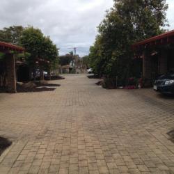 image painting-1405-of-1651-jpg